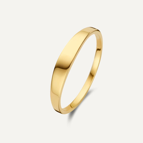 14 Karat Gold Essential Signet Ring