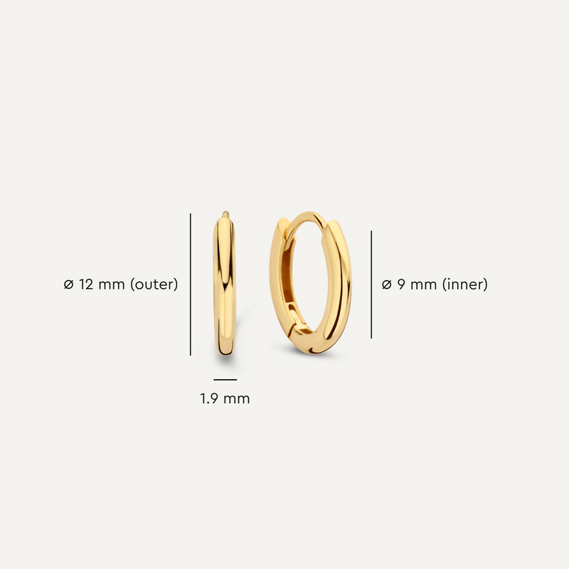 Oval Huggie Hoops (12mm)