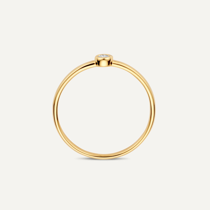 Bezel Set Diamant Ring (0.05 ct)