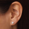 14 Karat Gold with Diamonds Six Prong Diamond Cluster Studs (0.22 ct) - 2