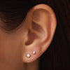 585er Gold mit Diamant Six Prong Diamant Ohrstecker (0.10 ct) - 2