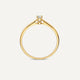 Chaton Set Cubic Zirconia Ring