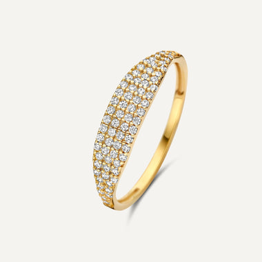 585er Gold Pavé Zirkonia Siegelring - 1