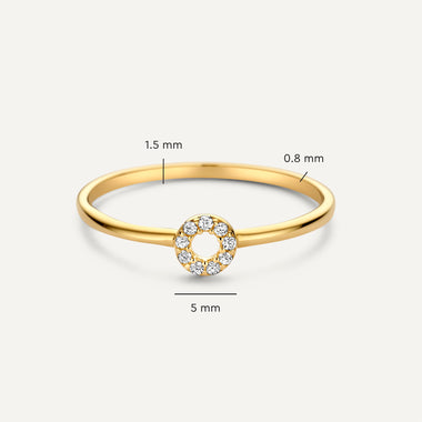 14 Karaat Goud Pavé Zirkonia Halo Ring - 5