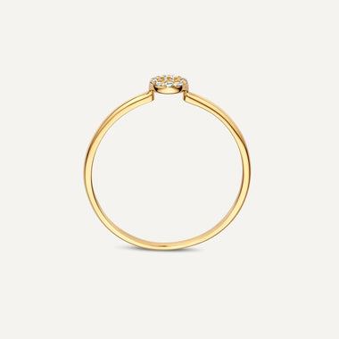 14 Karaat Goud Pavé Zirkonia Halo Ring - 6