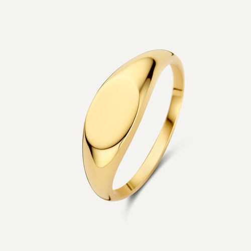 14 Karat Gold Signet Ring