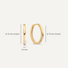 585er Gold Essential Kleine Hoops (15mm) - 9