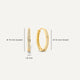 Pavé Zirkonia Ovale Hoops Set