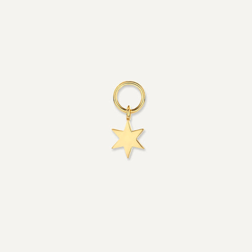 14 Karat Gold Star Hoop Charm