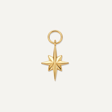 Oro de 14 Quilates Stellar Hoop Charm - 1