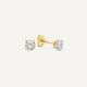 Double Paperclip Zirconia Earrings Set