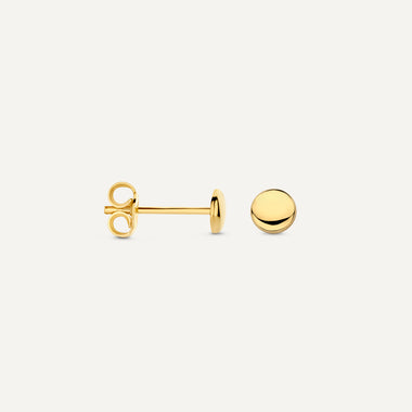 14 Karat Gold Coin Studs - 5