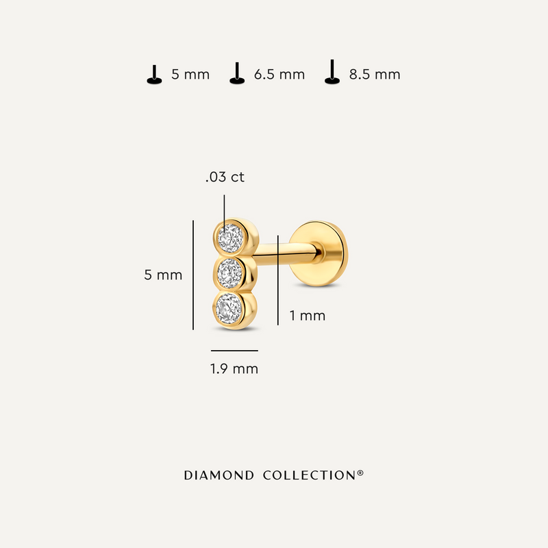 Diamant Reihe Bezel Set Piercing (0.03 ct)