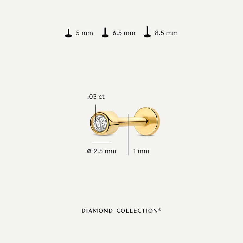 Diamant Bezel Set Round Cut Piercing (0.03 ct)