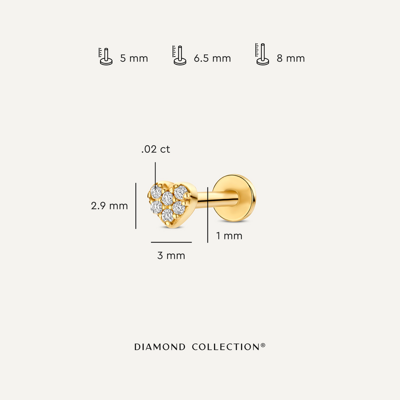 Diamant Hart Piercing Set (0.02 ct)