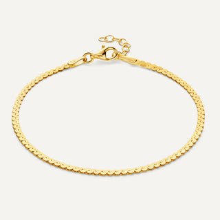 Serpentine Schakelarmband