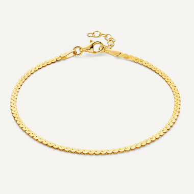 Or 14 Carats Bracelet Chaîne Serpentine - 1