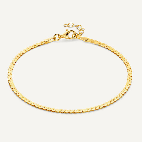 14 Karat Gold Serpentine Chain Bracelet