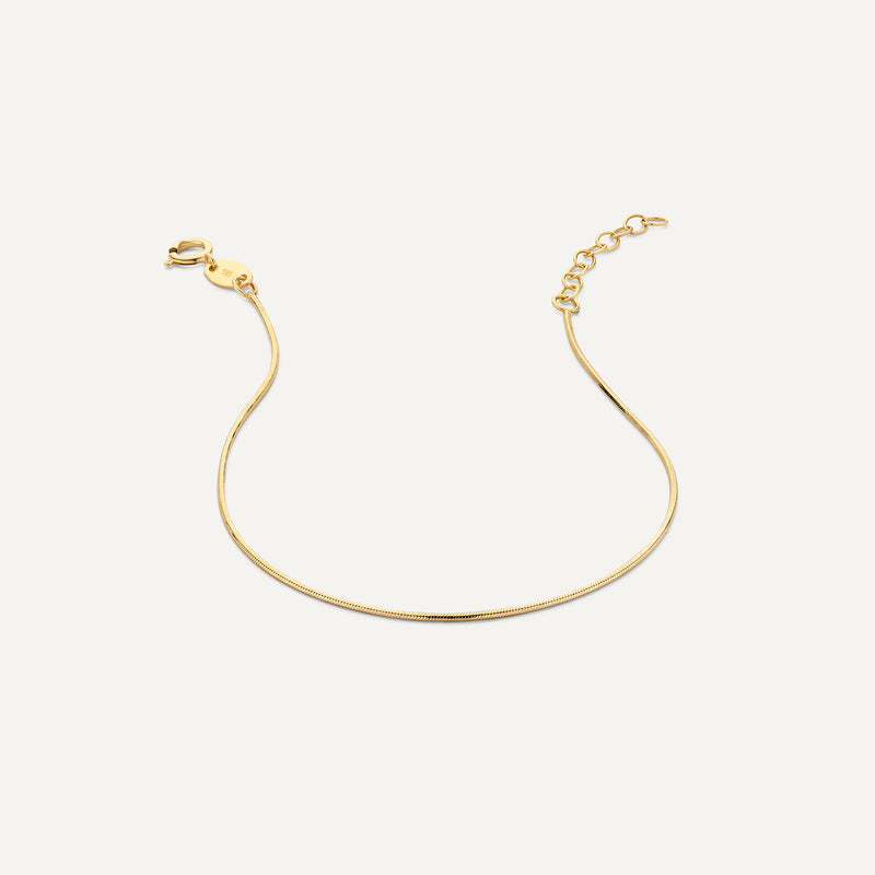 Thin Snake Chain Bracelet