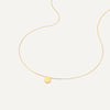 14 Karat Gold Coin Set - 7