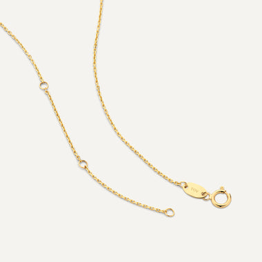 14 Karat Gold Coin Set - 8