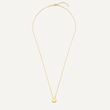 14 Karaat Goud Munt Pendant Ketting - 11