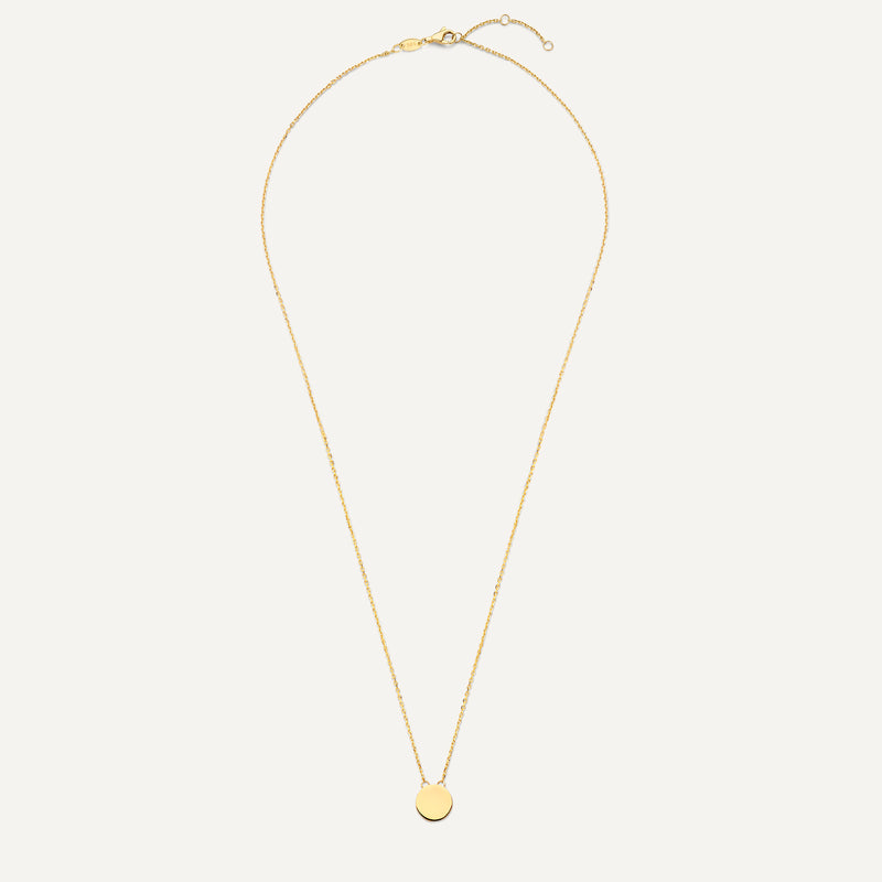 Munt Pendant Ketting