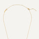 Extensor de Collar Essential