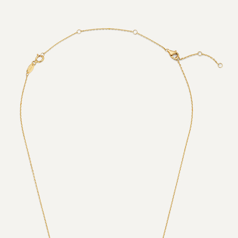 Extensor de Collar Essential