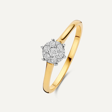 14 Karat Gold with Diamonds Six Prong Diamond Cluster Ring (0.15 ct) - 1
