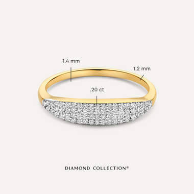 14 Karat Gold with Diamonds Pavé Diamond Signet Ring (0.20 ct) - 6