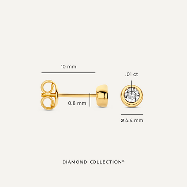 14 Karat Gold with Diamond Diamond Studs (0.03 ct) - 5