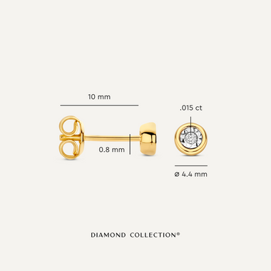 14 Karat Gold with Diamond Diamond Studs (0.03 ct) - 5