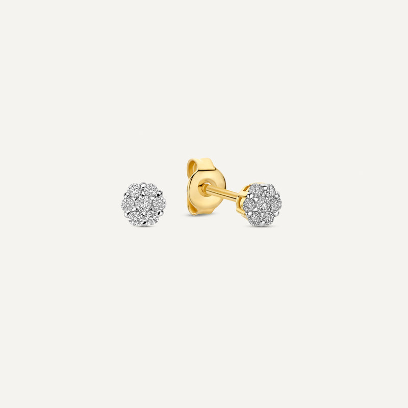 Orecchini a Perno Cluster con Diamanti (0.10 ct)
