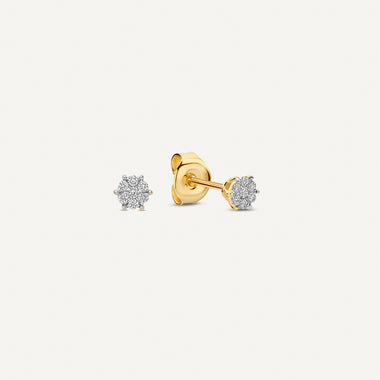 14 Karaat Goud met Diamanten Six Prong Diamant Cluster Oorknopjes (0.10 ct) - 1