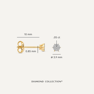 14 Karat Gold with Diamonds Six Prong Diamond Cluster Studs (0.10 ct) - 4
