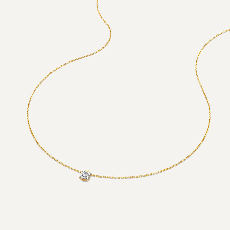 Four Prong Diamant Halo Pendant Ketting (0.05 ct)