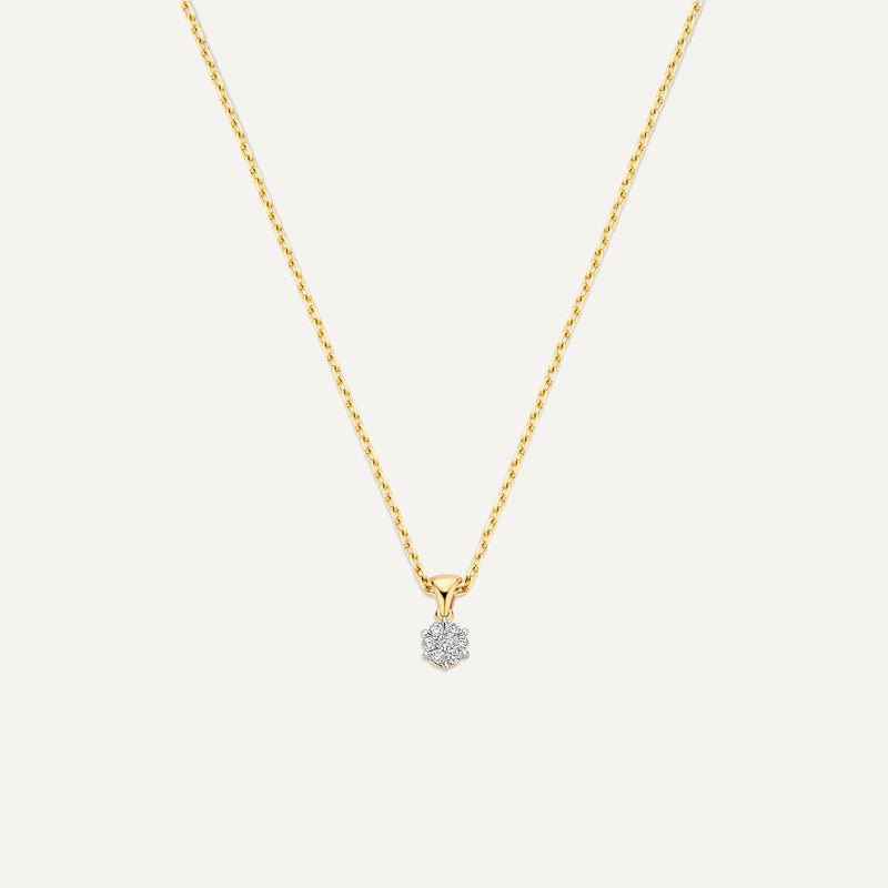 Collier Pendentif Cluster Six Prong Lié Diamant (0.06 ct)