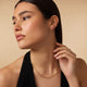 Bold Dome Small Hoops (14mm)