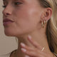 Bold Medium Hoops (19mm)