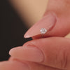 Oro Blanco de 14 Quilates con Diamante Piercing de Diamante de Tres Garras (0.05 ct) - 4