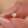 Oro 14 Carati Piercing con Perla - 4